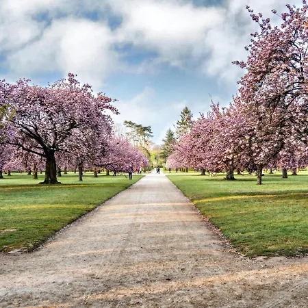 Διαμέρισμα In